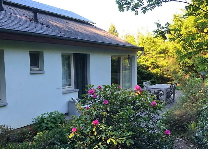 Villa Des Grues A Filly